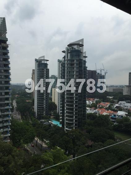 Spring Grove (D10), Condominium #106790982